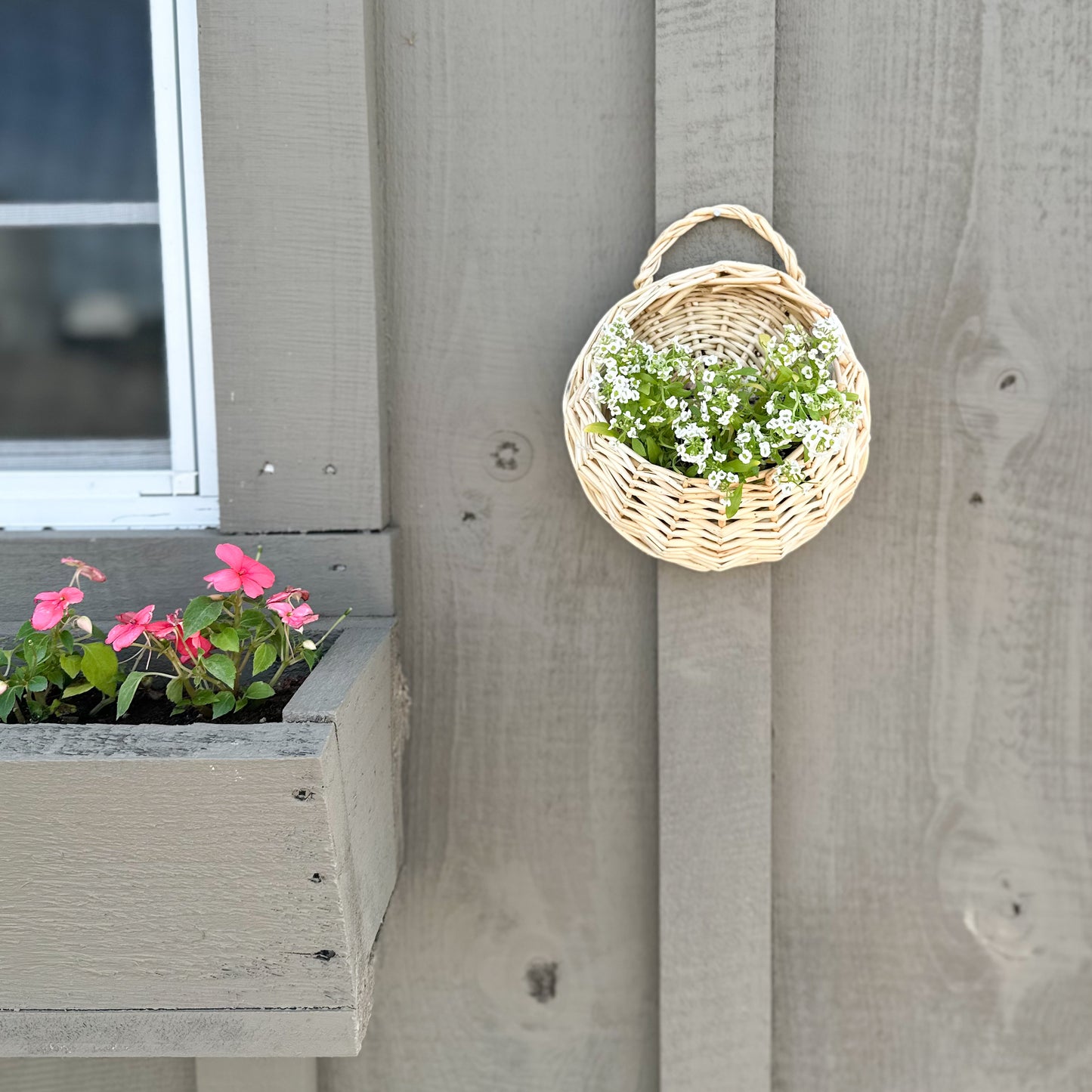Wall Plant Basket