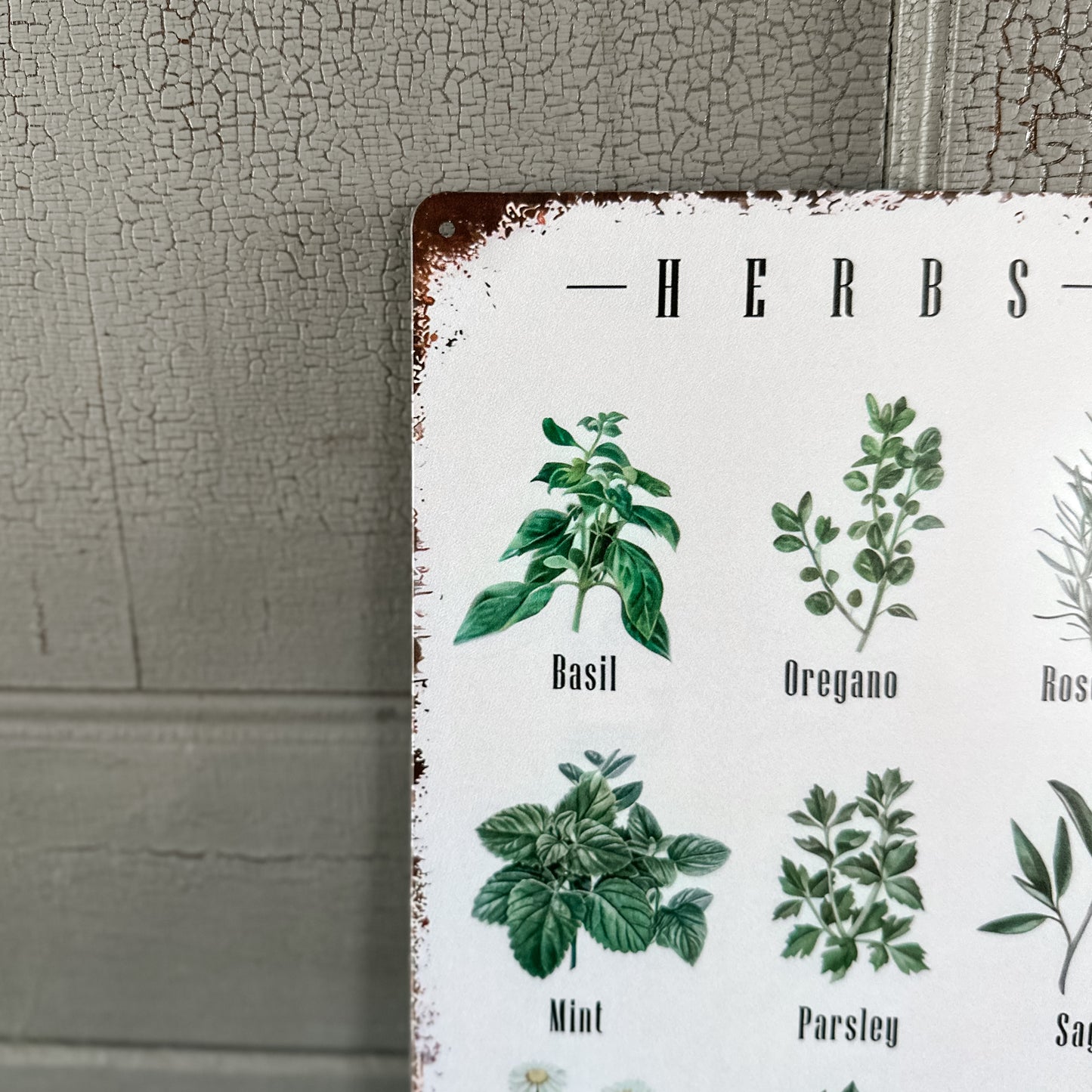 Herbs Sign | Tin