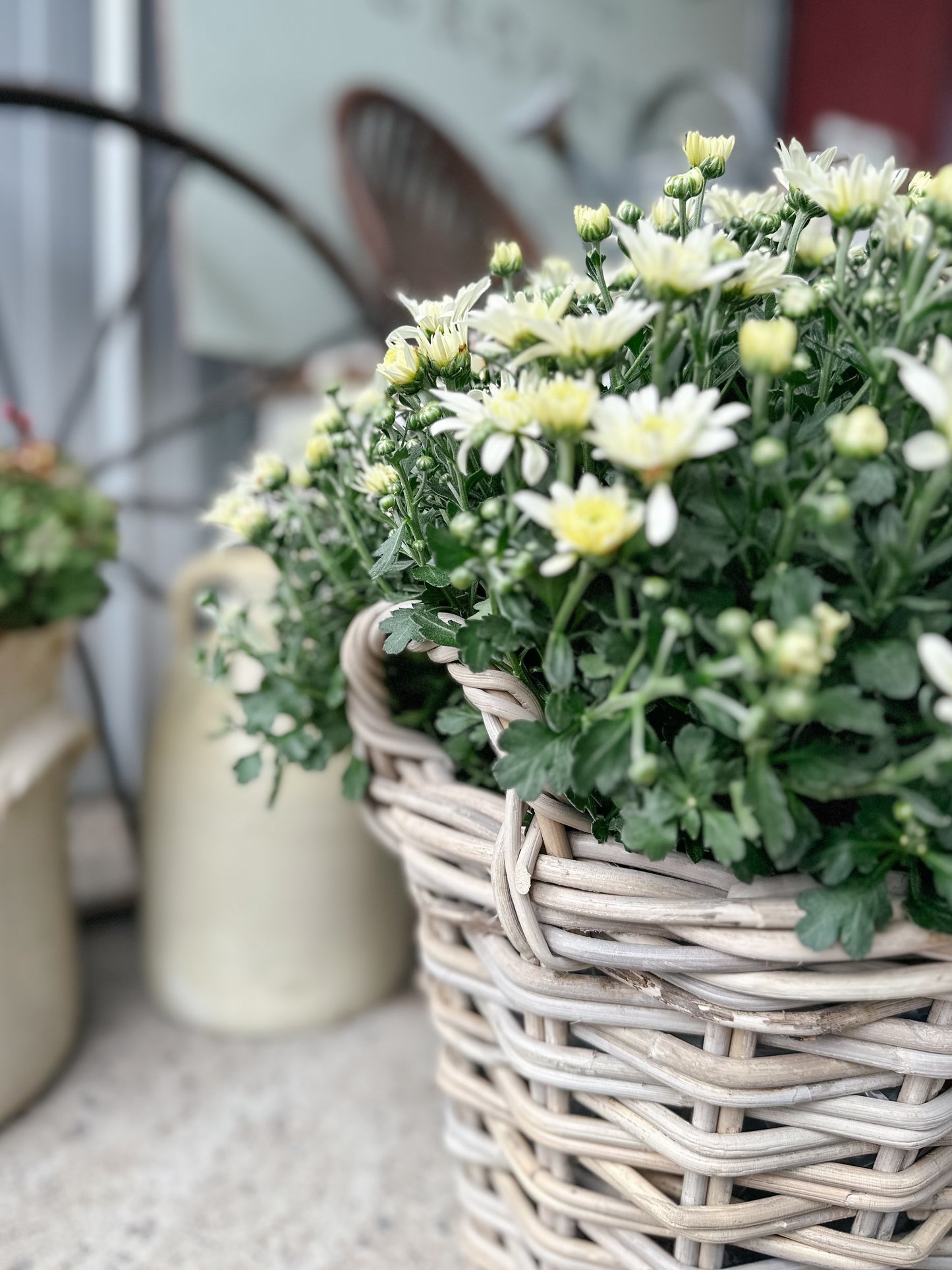 Bushel Basket With Handles | Grey