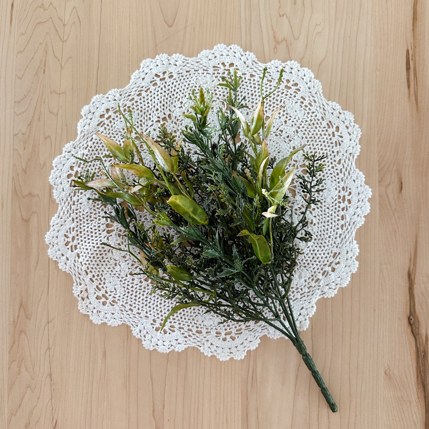 Bush Chickweed | Clay