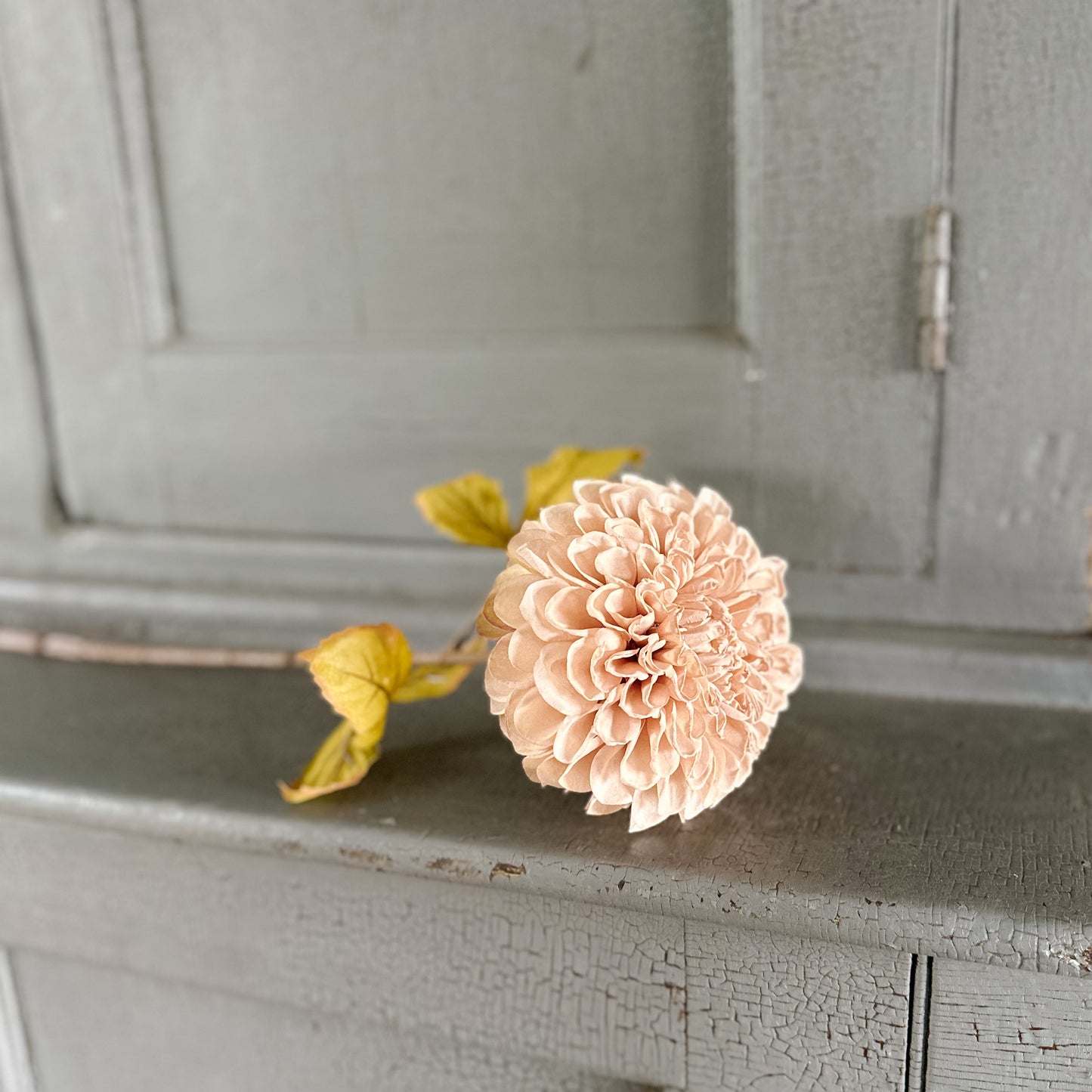 Dahlia Stem | Taupe