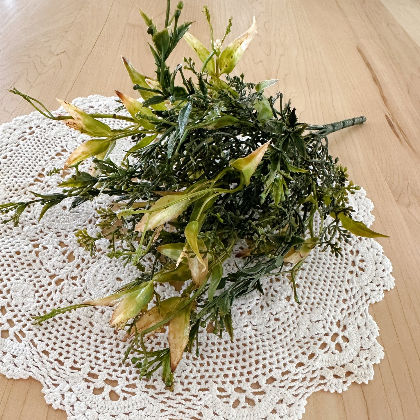 Bush Chickweed | Clay