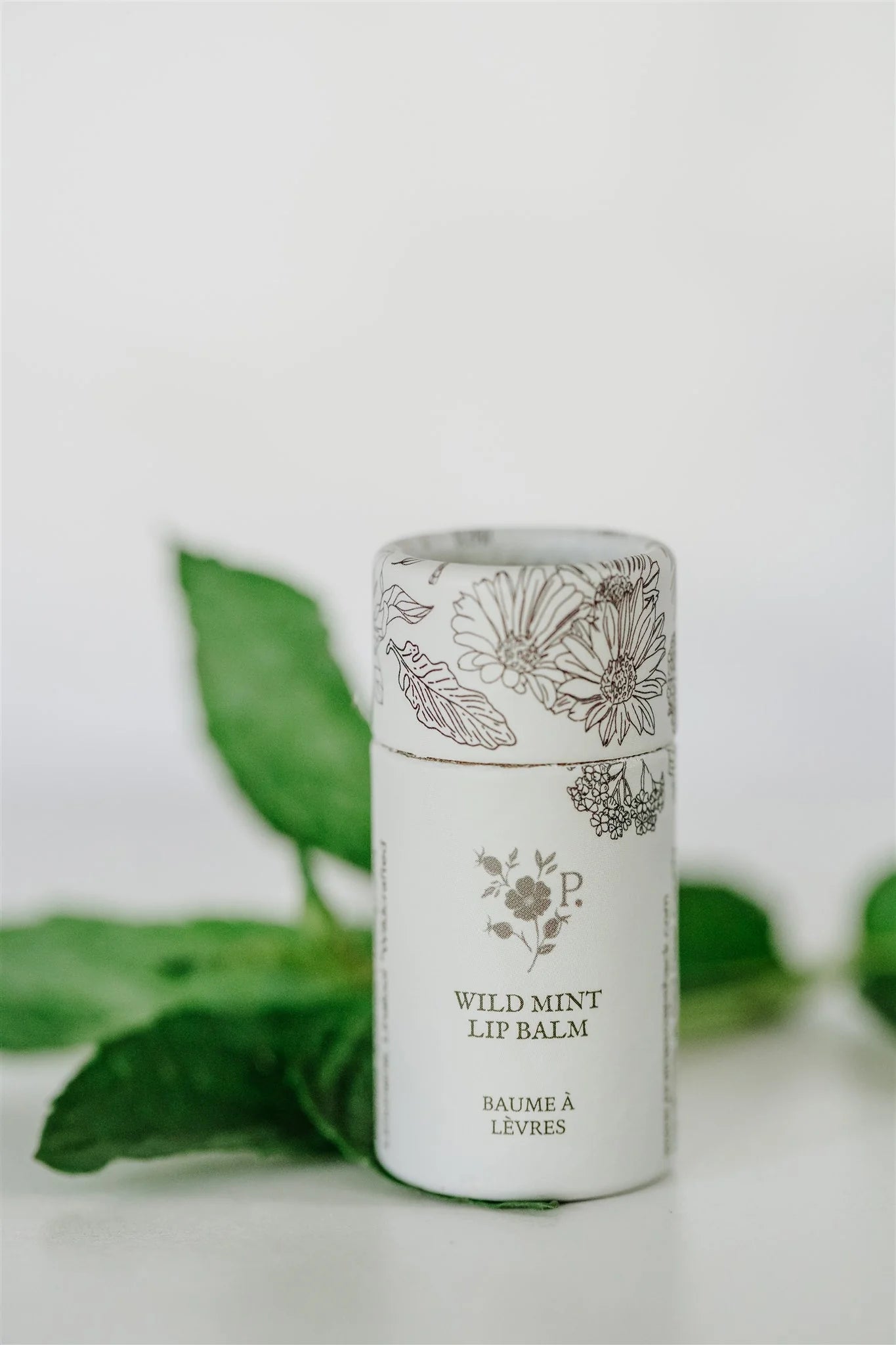 Prairie Soap Shack Lip Balms | 4 Options | PREORDER