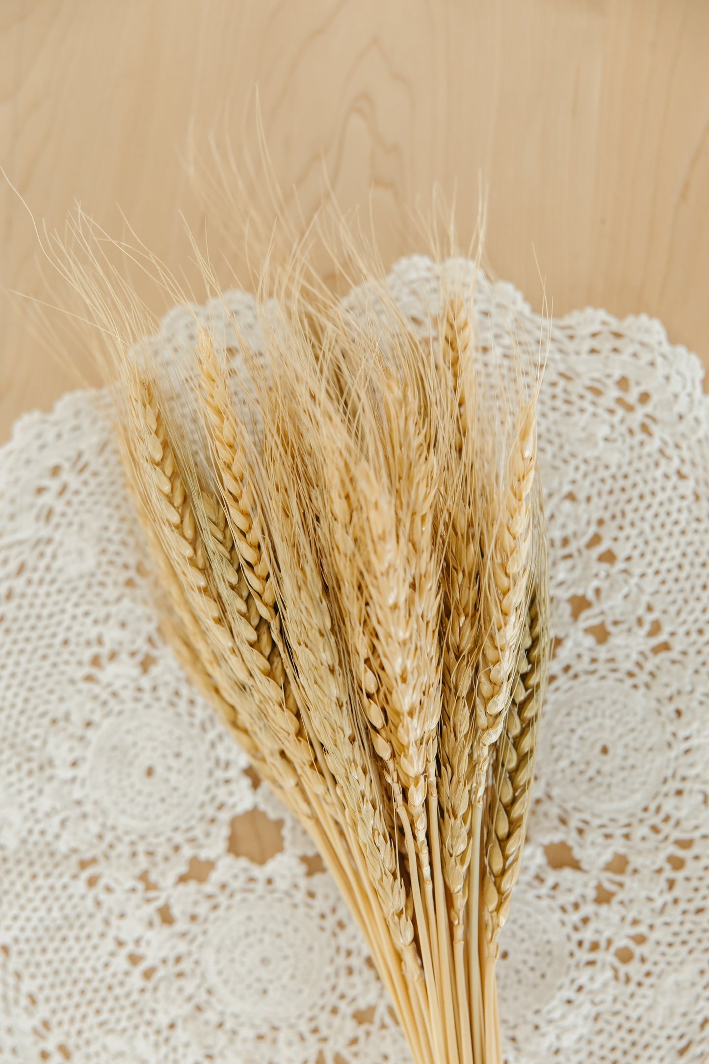 Wheat Bundle
