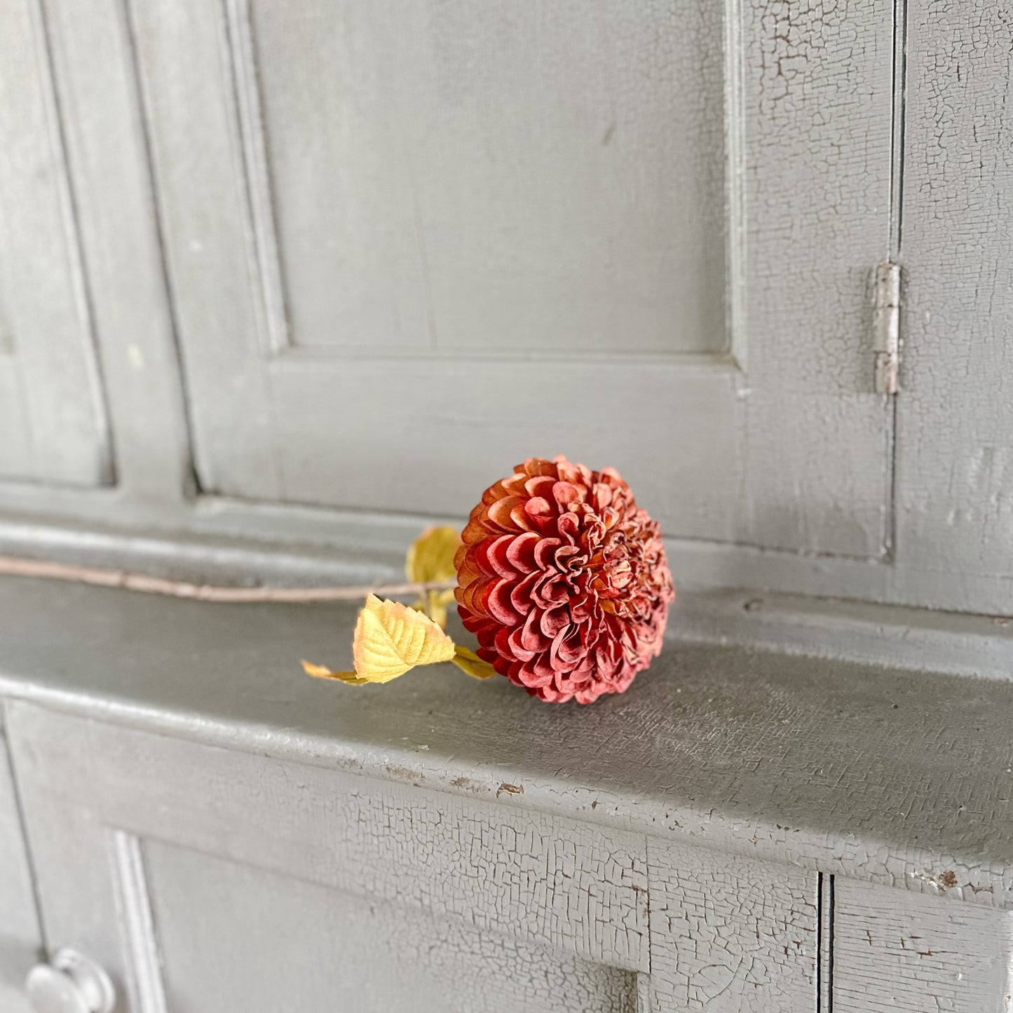 Dahlia Stem | Brown