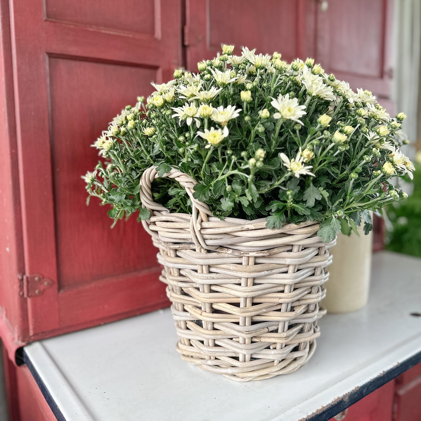 Bushel Basket With Handles | Grey