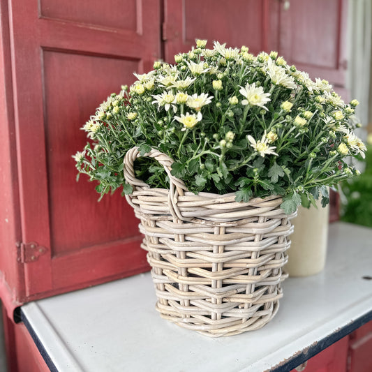 Bushel Basket With Handles | Grey