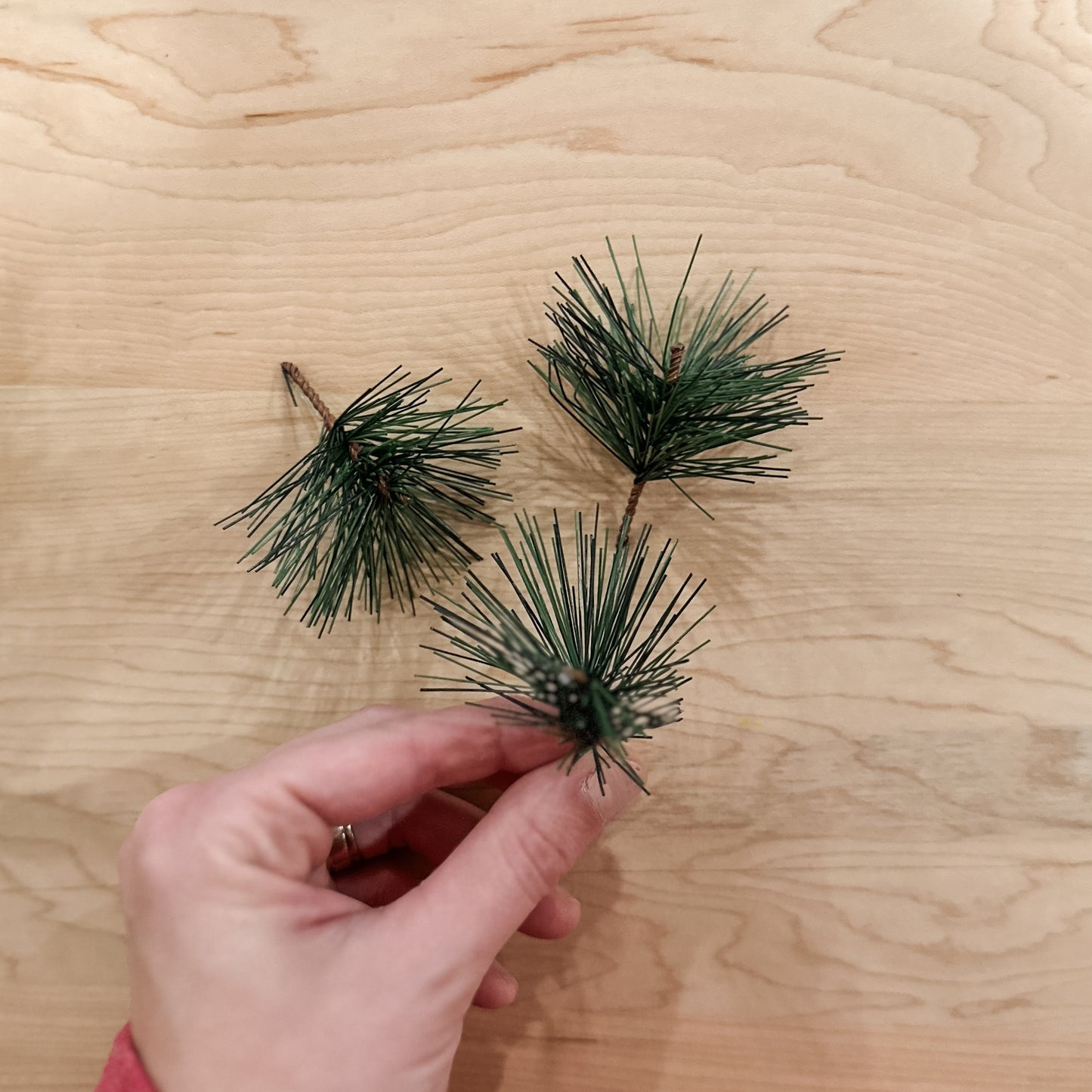 Small Long Needle Pine Sprig | Set of 3