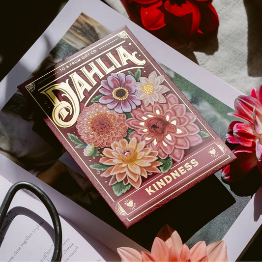Dahlia (Kindness) - Floriography Seed Packet