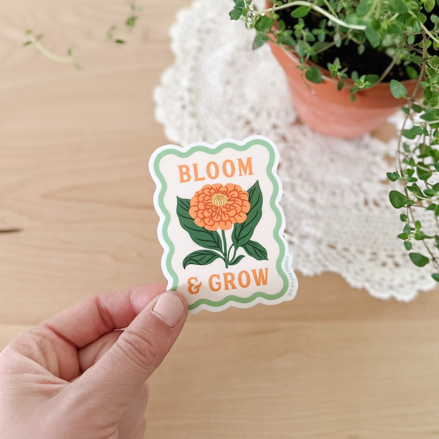 Bloom & Grow | Clear Vinyl Sticker