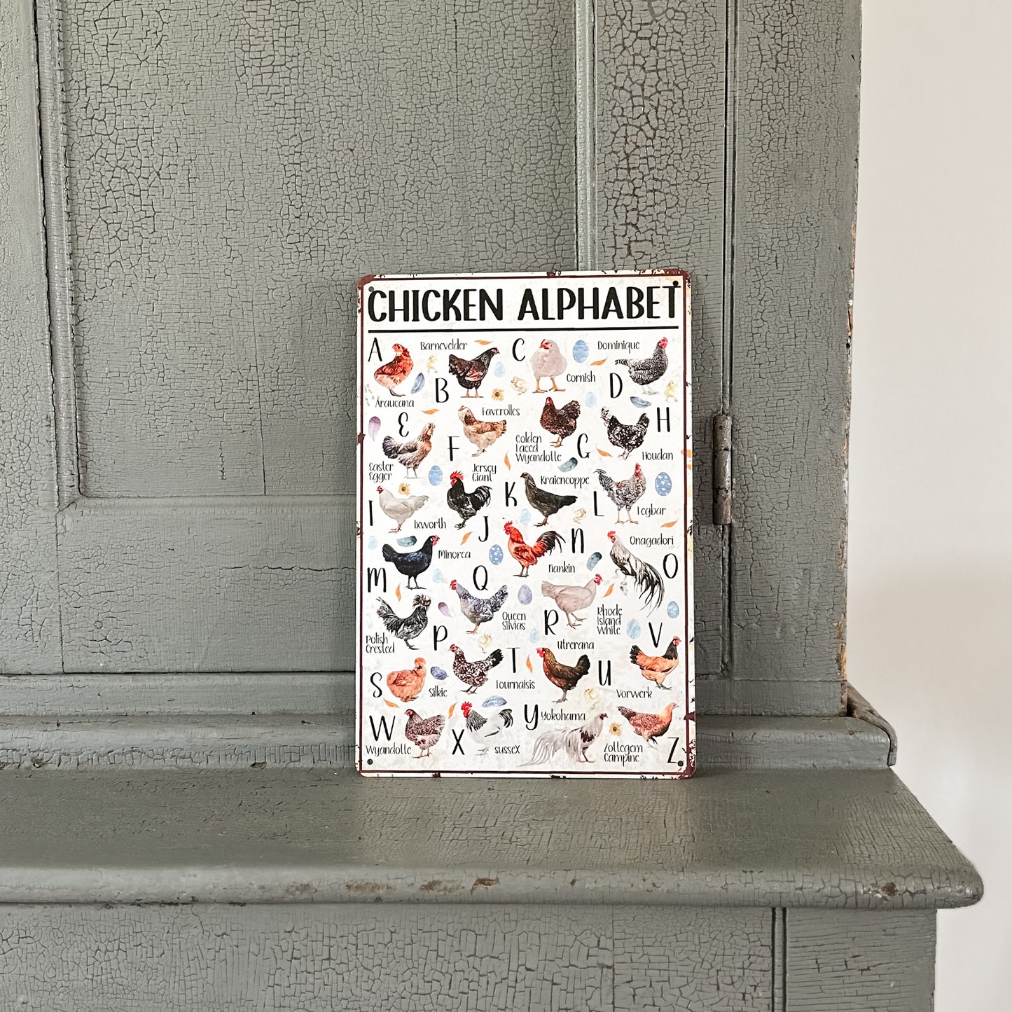 Chicken Alphabet Sign | Tin