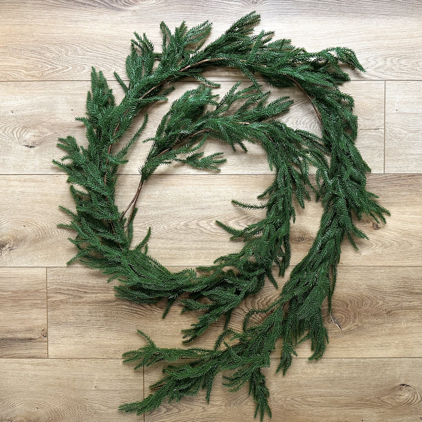 Norfolk Pine Garland | 9'