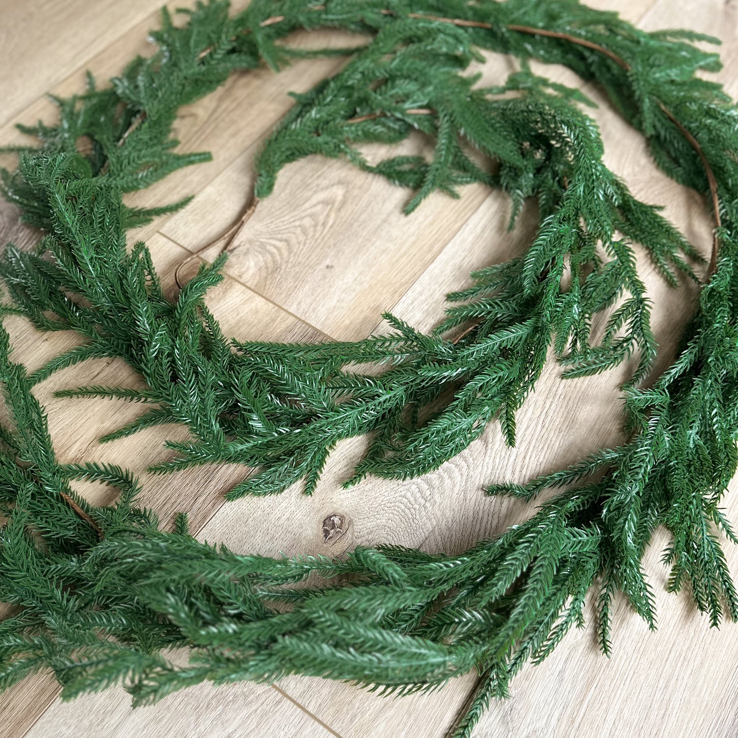 Norfolk Pine Garland | 9'