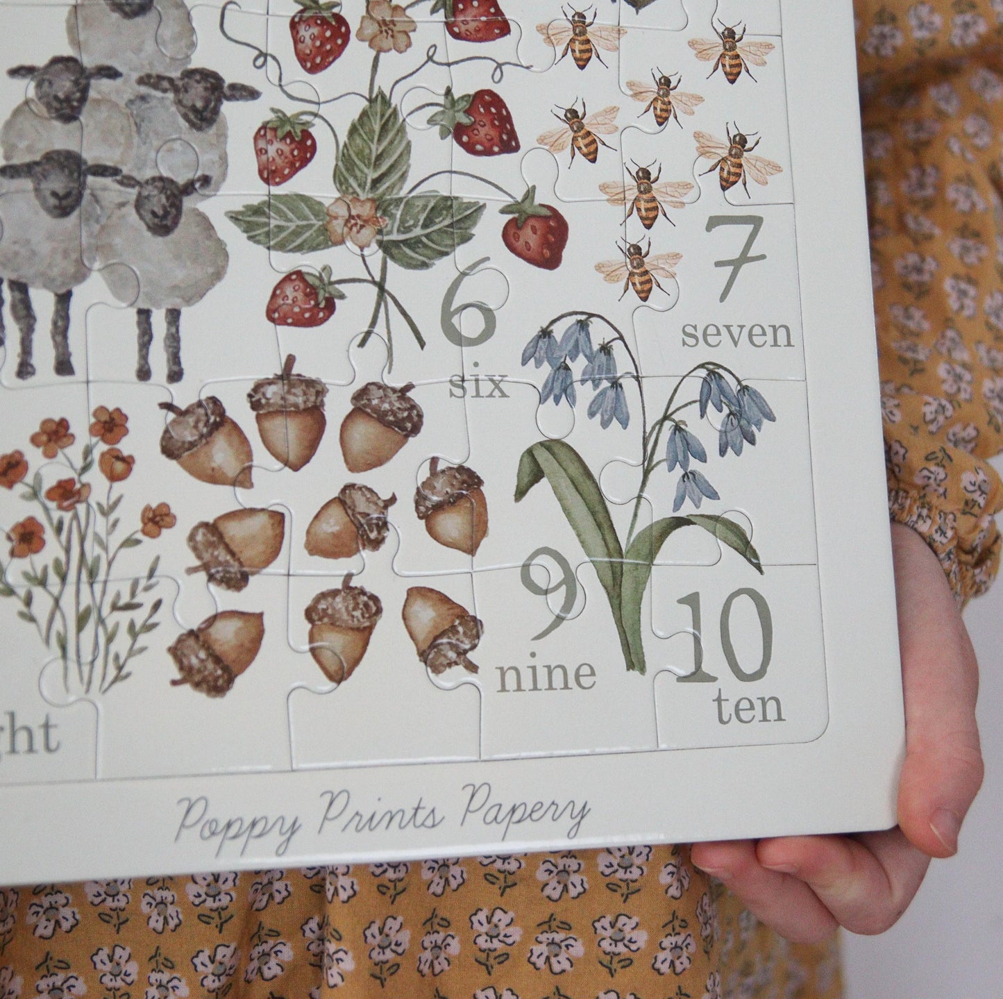Children’s Counting Puzzle