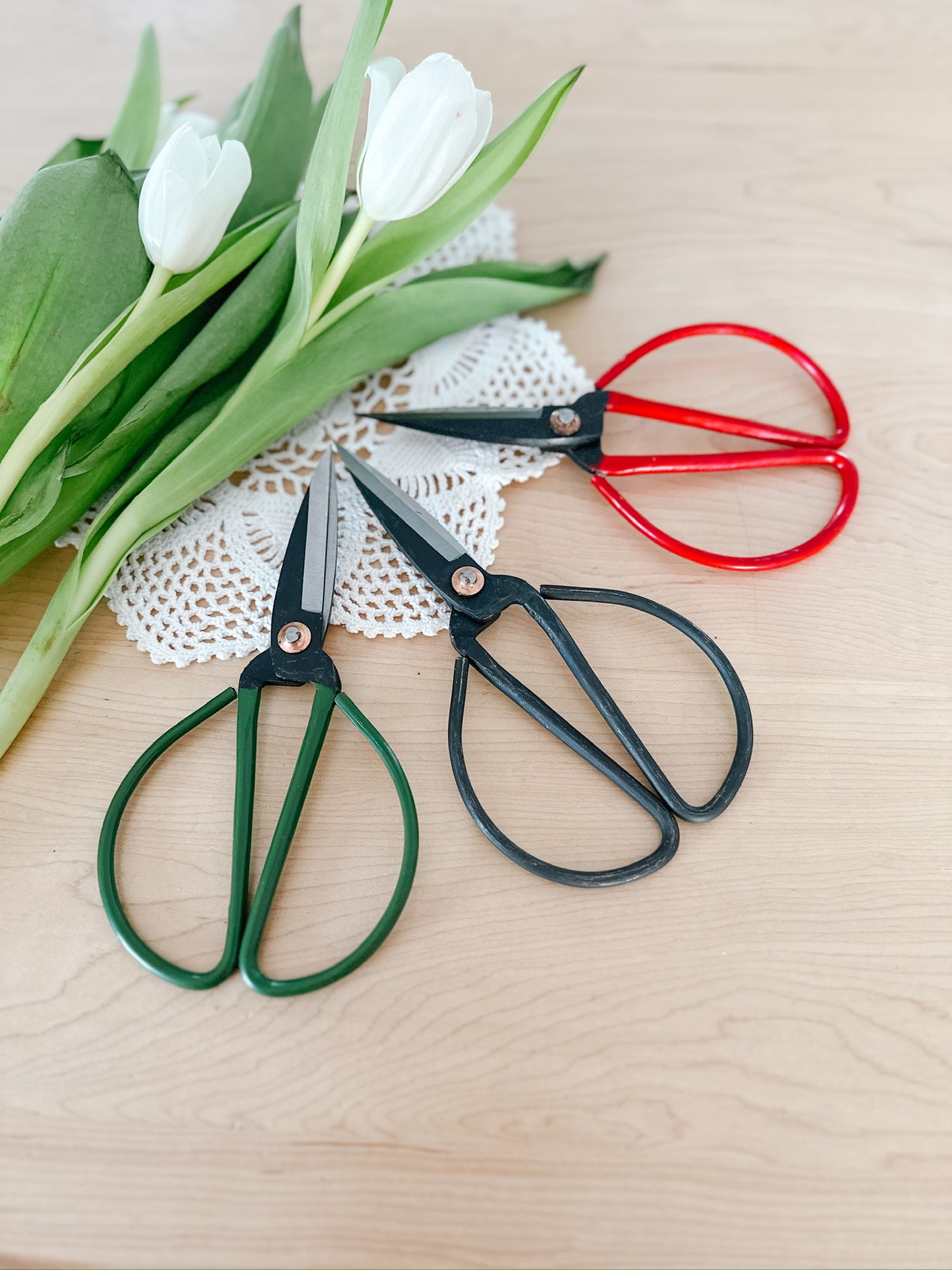 Scissor Snips