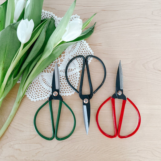 Three pairs of scissors on a wooden surface with white tulips and a doily.