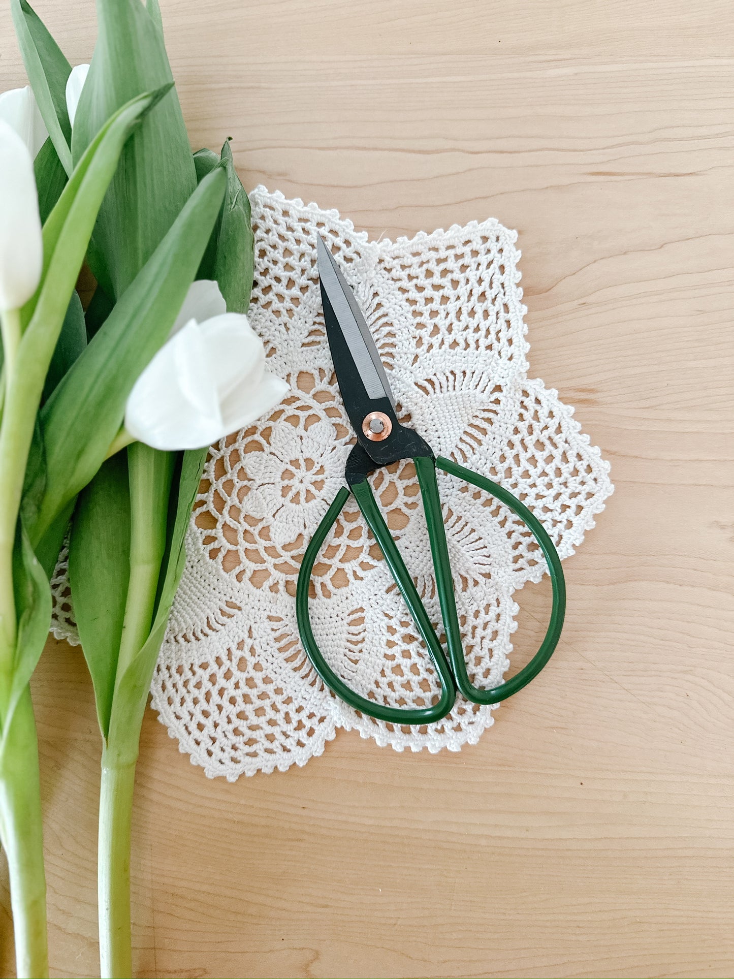 Scissor Snips