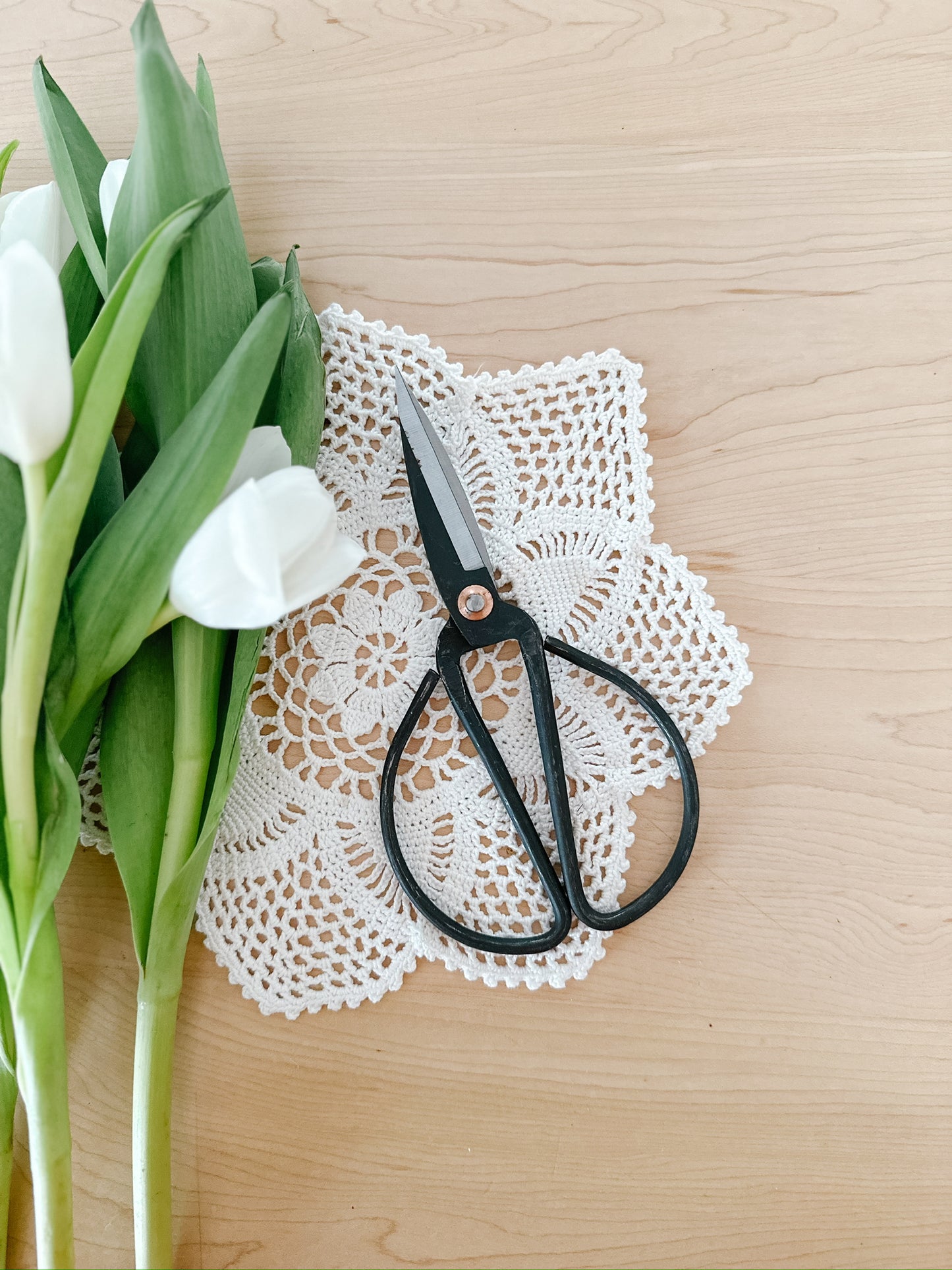 Scissor Snips