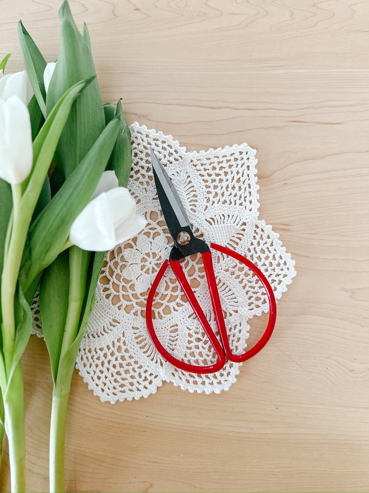 Scissor Snips