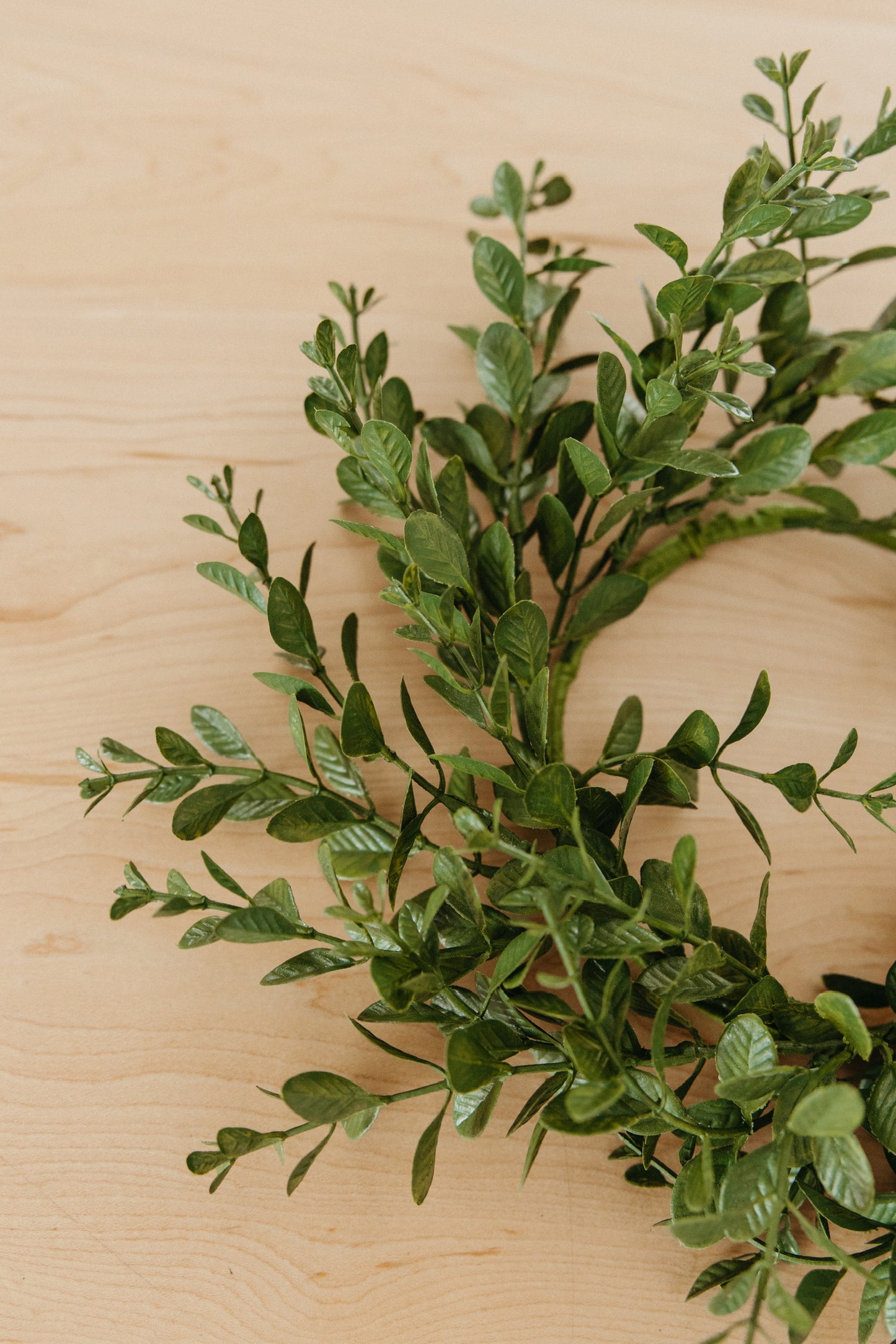 Boxwood Candle Ring