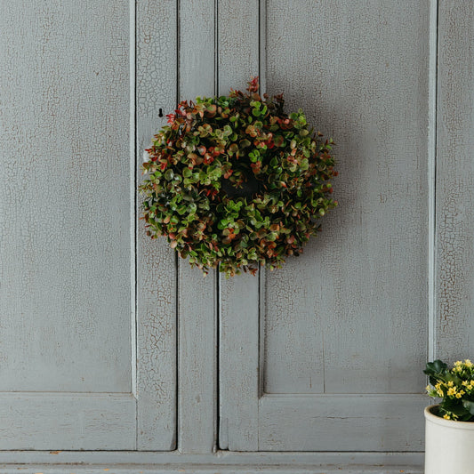 Wreath on a wooden door with a plant in the corner