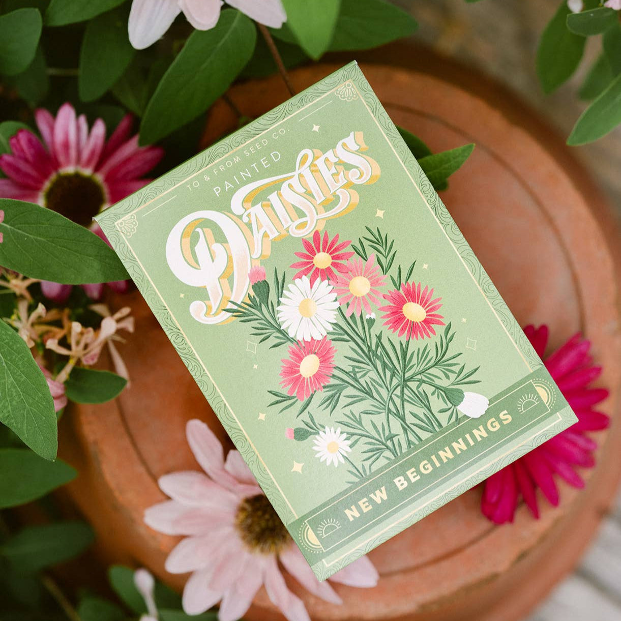 Painted Daisies (New Beginnings) |  Seed Packet