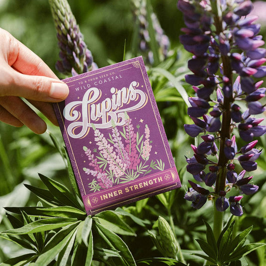 Lupins (Inner Strength) | Seed Packet