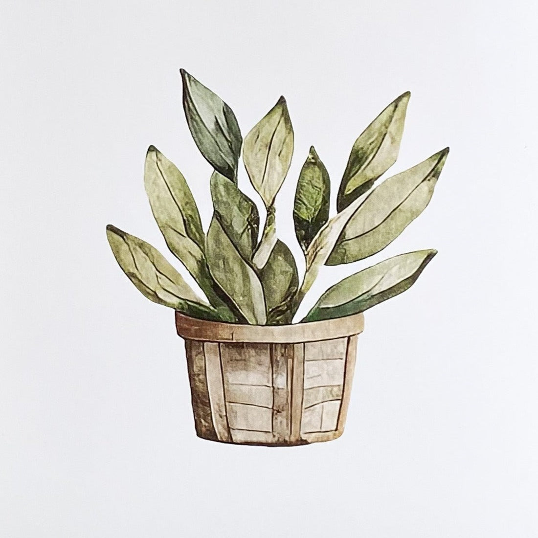 Potted Plant | 8x10” Single Art Print